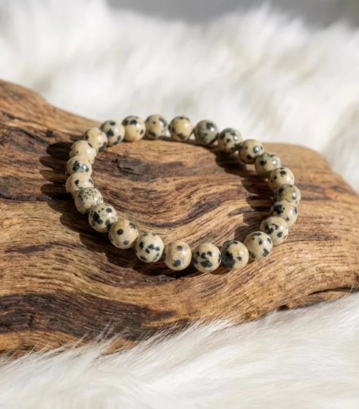 Bracelet Jaspe Dalmatienne